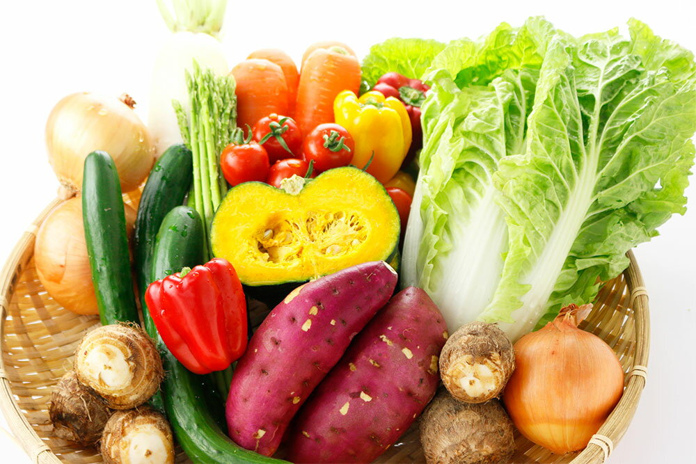 【ふるさと納税】【定期便 計3回】 野菜 10品程度 【メロンドーム】 定期便 3ヶ月お届け 詰め合わせ セット 国産 九州産 熊本県 菊池市 道の駅 送料無料《お申し込みの翌月から出荷》