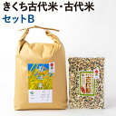 【ふるさと納税】きくち古代米・古代米 セットB【ファームきくち】 精米 ヒノヒカリ 5kg×1袋 八穀 500g×1パック セット 精米 白米 雑穀米 お米 米 令和5年産 菊池市産 熊本県産 送料無料