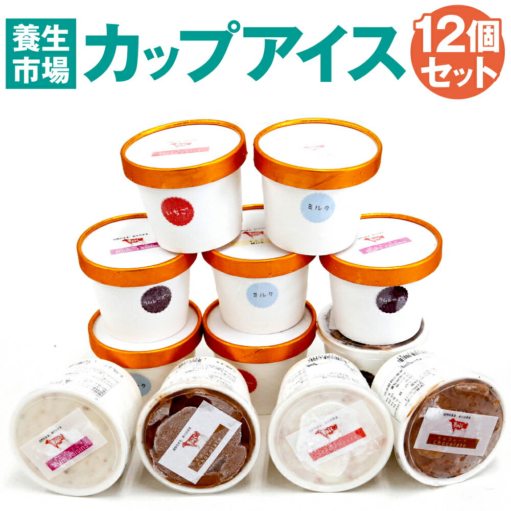 カップアイス 12個セット[養生市場]ミルク チョコ いちご ラムレーズン 110ml 各3個 4種類 アイス デザート スイーツ おやつ 冷菓 セット 詰め合わせ 国産 九州産 熊本県産 菊池市 冷凍 送料無料