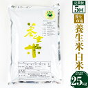 人気ランキング第5位「熊本県菊池市」口コミ数「0件」評価「0」【定期便5回】養生米 白米 合計25kg 5kg×5回【養生市場】定期便 5ヶ月 5ヶ月お届け ヒノヒカリ 精米 米 お米 令和5年産 九州産 熊本県産 菊池市産 送料無料