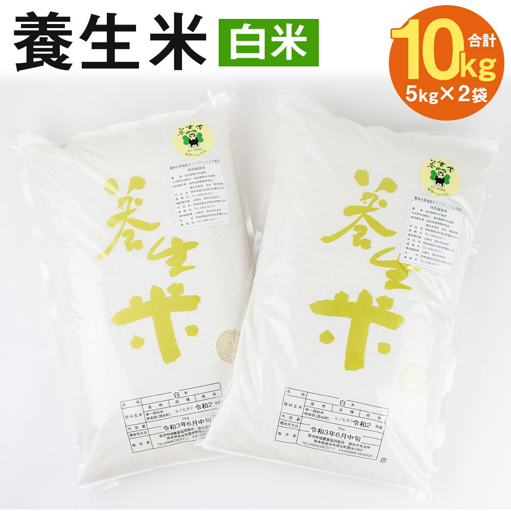 養生米 白米 合計10kg 5kg×2袋【養生市場】ヒノヒカリ 精米 米 お米 令和5年産 九州産 熊本県産 菊池市産 送料無料