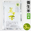 人気ランキング第12位「熊本県菊池市」口コミ数「0件」評価「0」養生米 白米 3kg【養生市場】ヒノヒカリ 精米 米 お米 令和5年産 九州産 熊本県産 菊池市産 送料無料