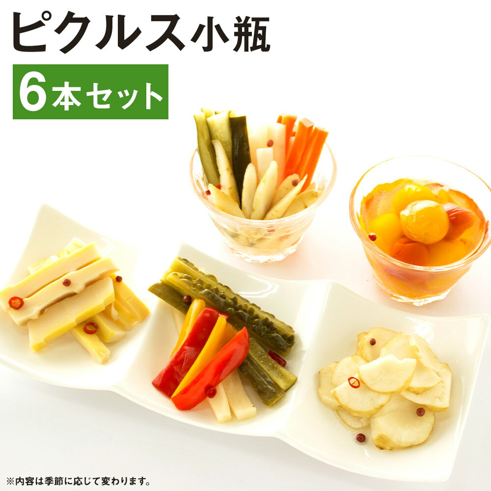 ピクルス 小瓶 6本セット [メロンドーム] 1本約130g〜150g ピクルス 野菜 酢漬け 漬物 おつまみ 旬の野菜 送料無料