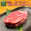 【ふるさと納税】【定期便12回】黒毛和牛 ヒレ・シャトーブリアンステーキ 合計5.4kg 450g×12回 シャトーブリアン ヒレ肉 ステーキ肉 ステーキ用 和牛 牛 牛肉 肉 国産 九州産 熊本県産 冷凍 12ヶ月 送料無料