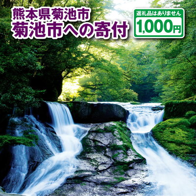 楽天ふるさと納税　【ふるさと納税】菊池市への寄付(返礼品はありません) 熊本県 菊池市 返礼品なし 1口 千円