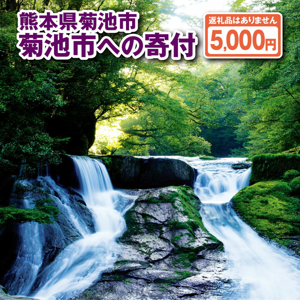 1位! 口コミ数「0件」評価「0」菊池市への寄付(返礼品はありません) 熊本県 菊池市 返礼品なし 1口 五千円