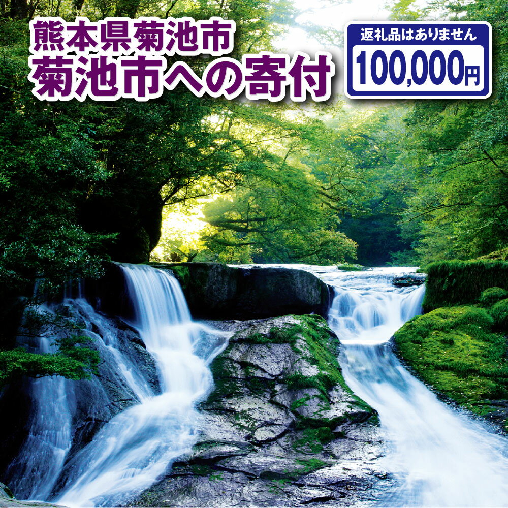 6位! 口コミ数「0件」評価「0」菊池市への寄付(返礼品はありません) 熊本県 菊池市 返礼品なし 1口 十万円