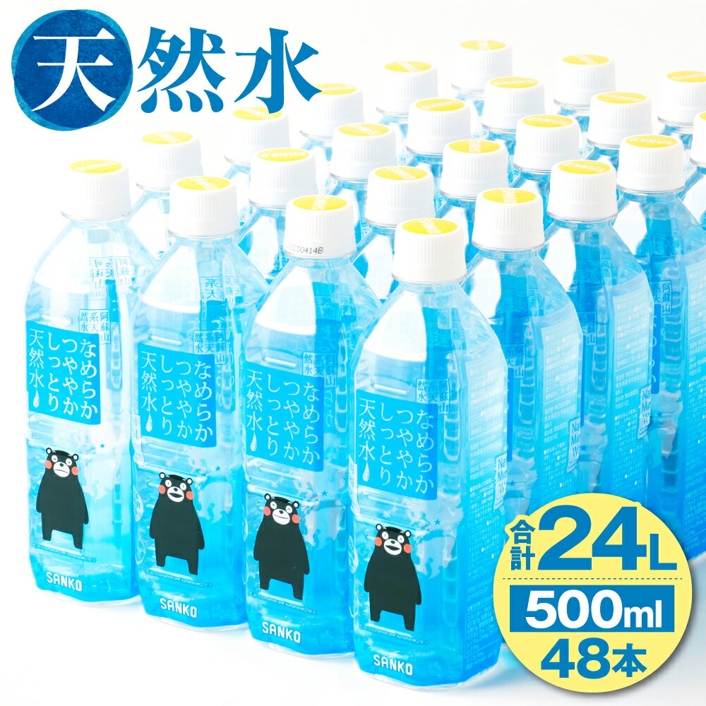 なめらかつややかしっとり天然水 500ml 合計48本 24本×2ケース 天然水 軟水 鉱水 シリカ水 飲料水 ミネラルウォーター ドリンク ペットボトル 熊本県 菊池市 送料無料