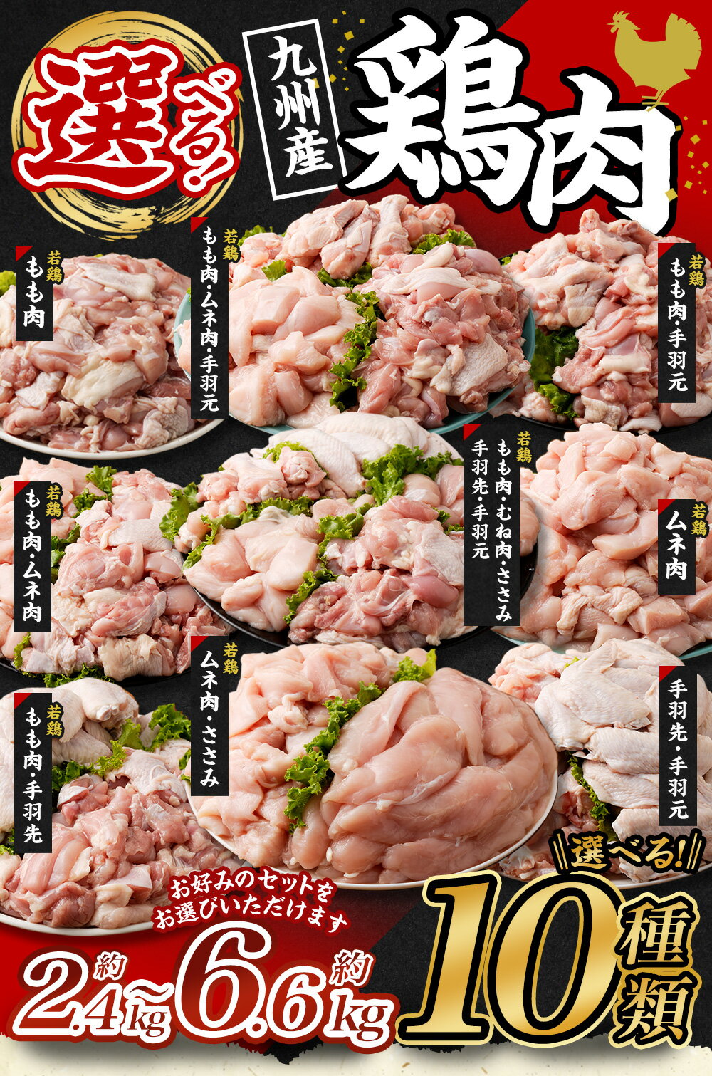 【ふるさと納税】【選べる10種】約2.4kg～6.6kg 九州産 鶏肉 若鶏 もも肉／ムネ肉 ／もも肉・ムネ肉／もも肉・手羽元／もも肉・ムネ肉・手羽元／もも肉・手羽先／手羽先・手羽元／ムネ肉 ・ささみ／もも肉・むね肉・ささみ・手羽先・手羽元 冷凍 国産