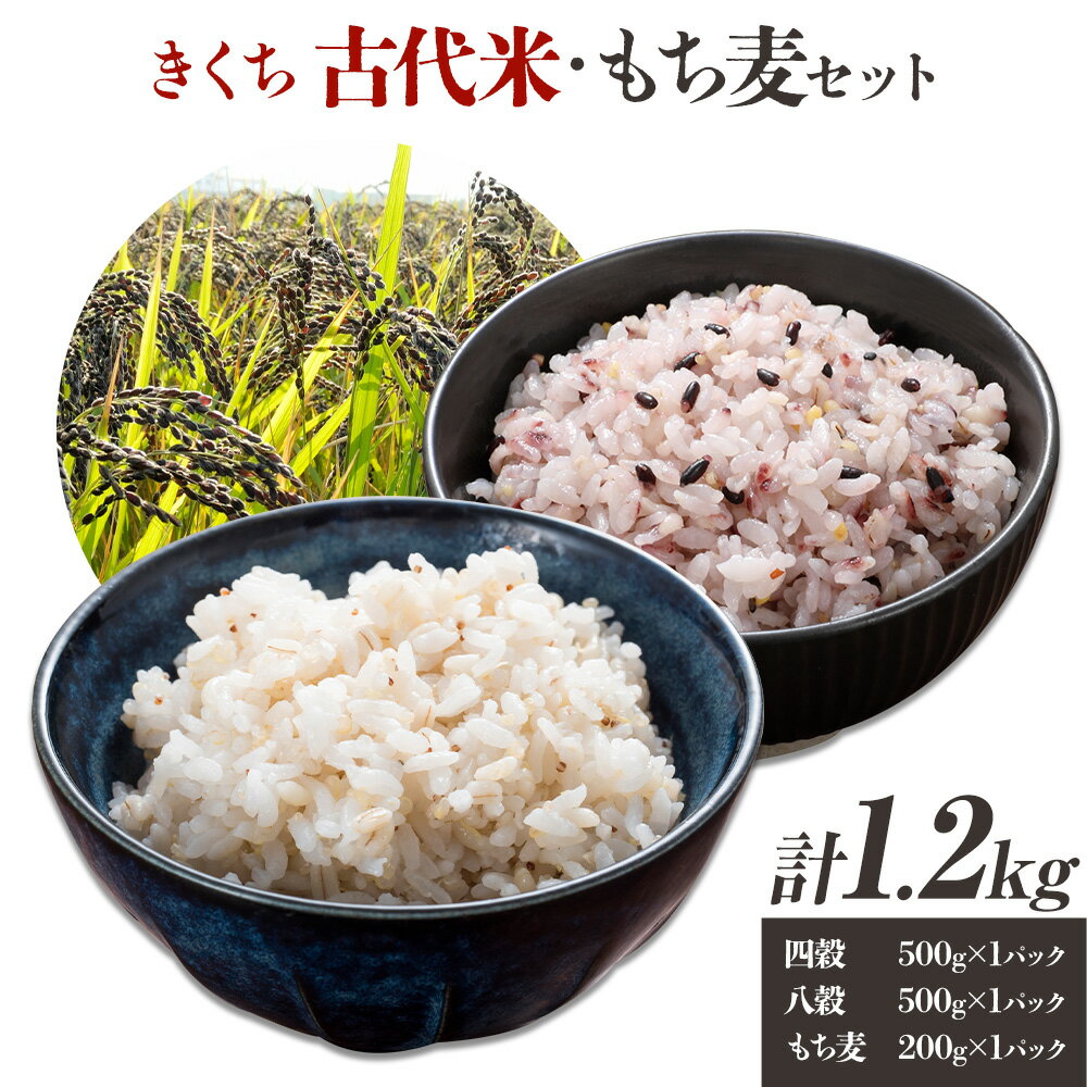 きくち古代米・もち麦 セットA[ファームきくち] 四穀 八穀 500g×1パック もち麦 200g×1パック セット 有限会社七城町特産品センター[90日以内に出荷予定(土日祝除く)]熊本県 菊池市 雑穀米 お米 米 もち麦 菊池市産 熊本県産 九州産