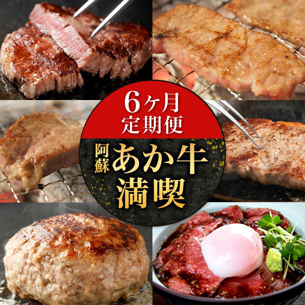 [6ヶ月定期便]阿蘇あか牛満喫セット 株式会社LARKS[お申込み月の翌月から出荷開始]肉 牛肉 あか牛 ローストビーフ ハンバーグ 冷凍 名物 熊本県 毎月届く 送料無料