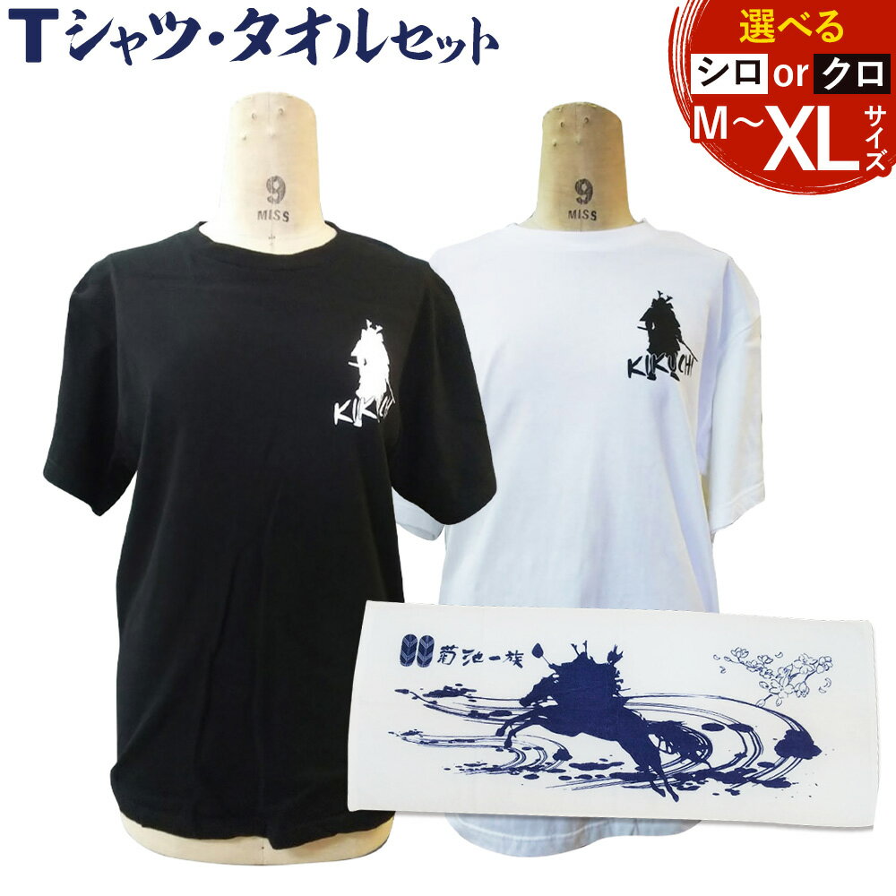 菊池武光公 Tシャツ・タオルセット 選べる 2色 選べる 3サイズ M/L/XL 株式会社アイエヌ[90日以内に出荷予定(土日祝除く)]熊本県 菊池市 Tシャツ シャツ 半袖 ファッション タオル 菊池一族