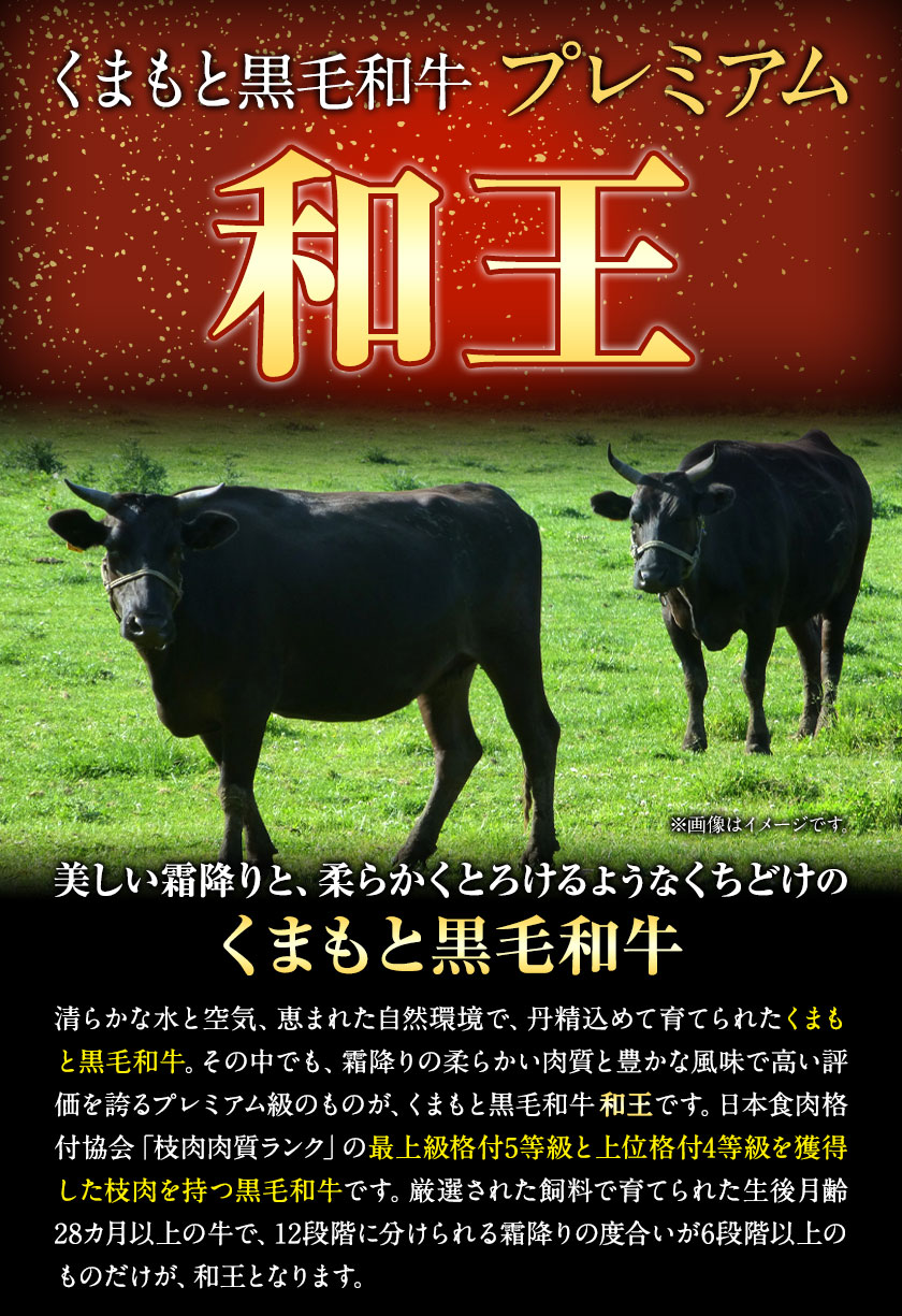 【ふるさと納税】ふるさと納税 A4〜A5等級 黒毛和牛 切り落とし 和王 バラ 霜降り 焼肉 550g A5 A4 等級《30日以内に出荷予定(土日祝除く)》くまもと黒毛和牛 熊本県 産山村 牛肉 冷凍 個別 取分け 小分け チャック付き バラ凍結 肉 お肉 焼き肉 焼き肉用