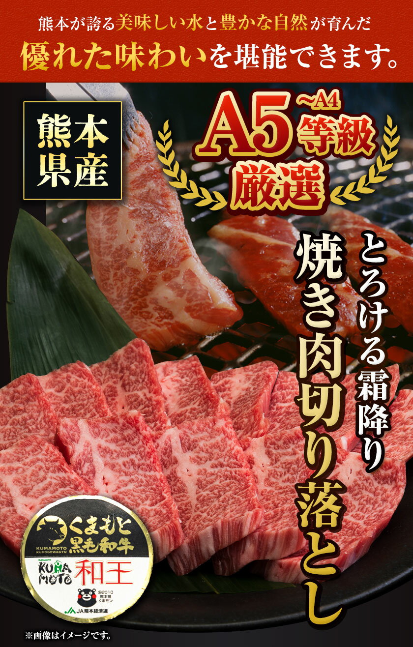 【ふるさと納税】ふるさと納税 A4〜A5等級 黒毛和牛 切り落とし 和王 バラ 霜降り 焼肉 550g A5 A4 等級《30日以内に出荷予定(土日祝除く)》くまもと黒毛和牛 熊本県 産山村 牛肉 冷凍 個別 取分け 小分け チャック付き バラ凍結 肉 お肉 焼き肉 焼き肉用