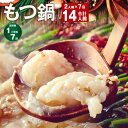 【ふるさと納税】【定期便】【1ヶ月毎7回】九州鍋グランプリ受賞 菊池市産・熊本県産和牛使用 ぷりぷりもつ鍋(2人前) 計14人前 モツ鍋 鍋セット モツ 牛丸腸...