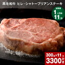 黒毛和牛 ヒレ・ シャトーブリアンステーキ 計3300g(300g×11回) 牛肉 肉 お肉 ヒレ肉 希少部位 希少 ステーキ 冷凍 九州 熊本県 菊池市 送料無料