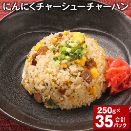 【ふるさと納税】にんにくチャーシューチャーハン 250g 計35パック 炒飯 チャーハン 焼豚 叉焼 ニンニク 冷凍チャーハン 熊本県産 米 冷凍 レンチン 国産 熊本県 菊池市 送料無料