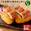 【ふるさと納税】【定期便】【2ヶ月毎6回】うなぎ乗せ 焼きおにぎり 110g×9個 計54個（9個×6回） うるち米 お米 おにぎり うなぎ蒲焼 鰻 ウナギ 醤油ダレ たれ ご飯 惣菜 電子レンジ 簡単調理 冷凍 熊本県 菊池市 送料無料