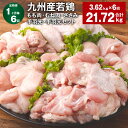【ふるさと納税】【定期便】【1ヶ月毎6回】九州産若鶏もも肉・むね肉・ささみ・手羽先・手羽元セット 計21.72kg(3.62kg×6回) 鶏肉 お肉 モモ肉 ムネ肉 5種類 詰め合わせ 小分け 冷凍 九州産 国産 熊本県 菊池市 送料無料《お申し込みの翌月から出荷》