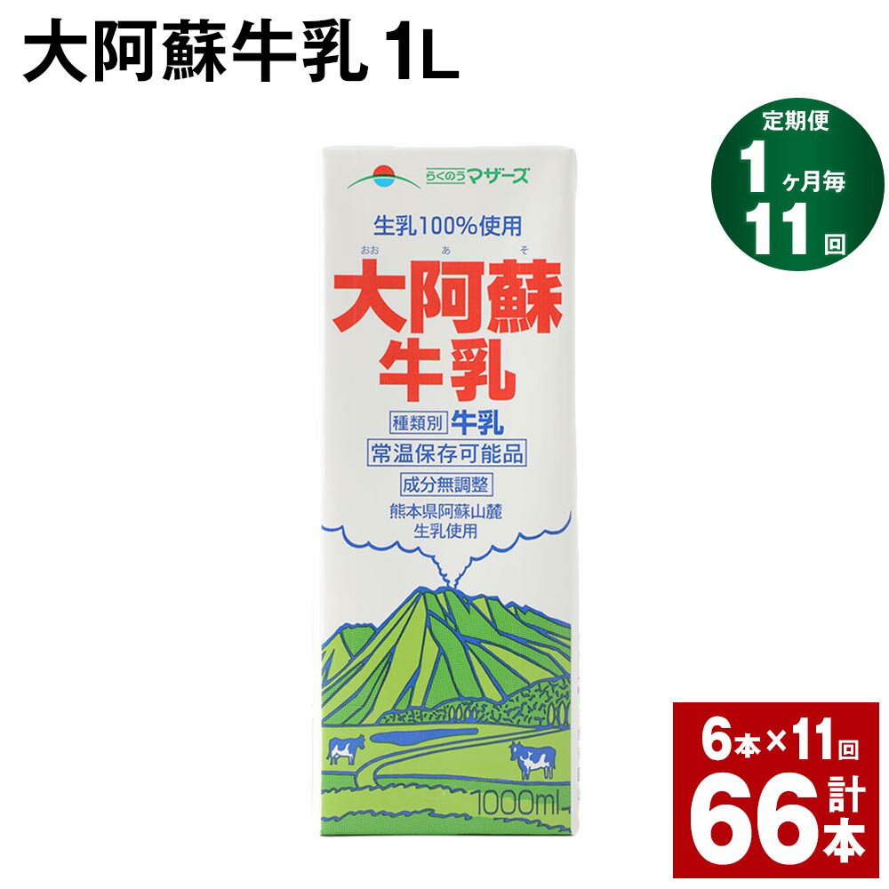 【定期便】【1ヶ月毎11回】大阿蘇牛乳 1L 紙パック 6本 計66本（6本×11回） 牛乳 ミルク 成分無調整牛乳 乳飲料 乳性飲料 熊本県産 国産 九州 熊本県 菊池市 送料無料