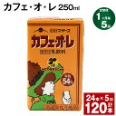 【ふるさと納税】【定期便】【1ヶ月毎5回】カフェ・オ・レ 250ml 24本 計120本（24本×5回） カフェオレ 牛乳 コーヒー 珈琲 乳飲料 らくのうマザーズ ジュース ドリンク 熊本県産 国産 九州 熊本県 菊池市 送料無料