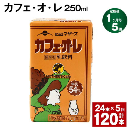 【定期便】【1ヶ月毎5回】カフェ・オ・レ 250ml 24本 計120本（24本×5回） カフェオレ 牛乳 コーヒー 珈琲 乳飲料 らくのうマザーズ ジュース ドリンク 熊本県産 国産 九州 熊本県 菊池市 送料無料