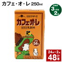 30位! 口コミ数「0件」評価「0」【定期便】【3ヶ月毎2回】カフェ・オ・レ 250ml 24本 計48本（24本×2回） カフェオレ 牛乳 コーヒー 珈琲 乳飲料 らくのうマ･･･ 