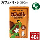 【ふるさと納税】【定期便】【5ヶ月毎2回】カフェ・オ・レ 250ml 24本 計48本（24本×2回） カフェオレ 牛乳 コーヒー 珈琲 乳飲料 らくのうマザーズ ジュース ドリンク 熊本県産 国産 九州 熊本県 菊池市 送料無料