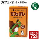 【ふるさと納税】【定期便】【5ヶ月毎3回】カフェ・オ・レ 250ml 24本 計72本（24本×3回） カフェオレ 牛乳 コーヒー 珈琲 乳飲料 らくのうマザーズ ジュース ドリンク 熊本県産 国産 九州 熊本県 菊池市 送料無料