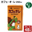 【ふるさと納税】【定期便】【6ヶ月毎2回】カフェ・オ・レ 250ml 24本 計48本（24本×2回） カフェオレ 牛乳 コーヒー 珈琲 乳飲料 らくのうマザーズ ジュース ドリンク 熊本県産 国産 九州 熊本県 菊池市 送料無料