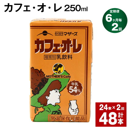 【定期便】【6ヶ月毎2回】カフェ・オ・レ 250ml 24本 計48本（24本×2回） カフェオレ 牛乳 コーヒー 珈琲 乳飲料 らくのうマザーズ ジュース ドリンク 熊本県産 国産 九州 熊本県 菊池市 送料無料