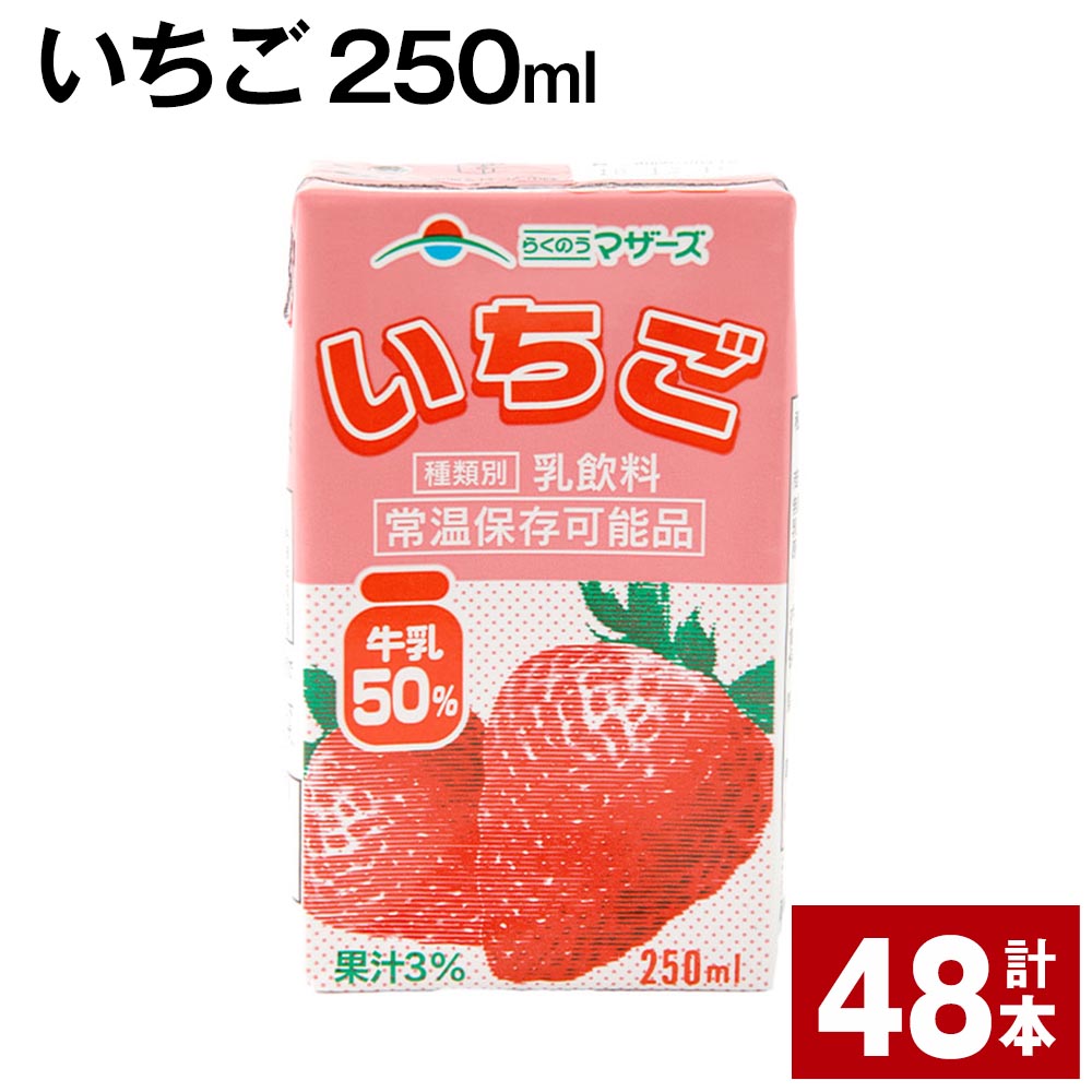 いちご 250ml 48本 いちごミルク いちご果汁 苺 イチゴ 牛乳 乳飲料 ジュース ドリンク 熊本県産 国産 九州 熊本県 菊池市 送料無料