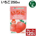 17位! 口コミ数「0件」評価「0」【定期便】【1ヶ月毎5回】いちご 250ml 24本 計120本（24本×5回） いちごミルク いちご果汁 苺 イチゴ 牛乳 乳飲料 ジュー･･･ 