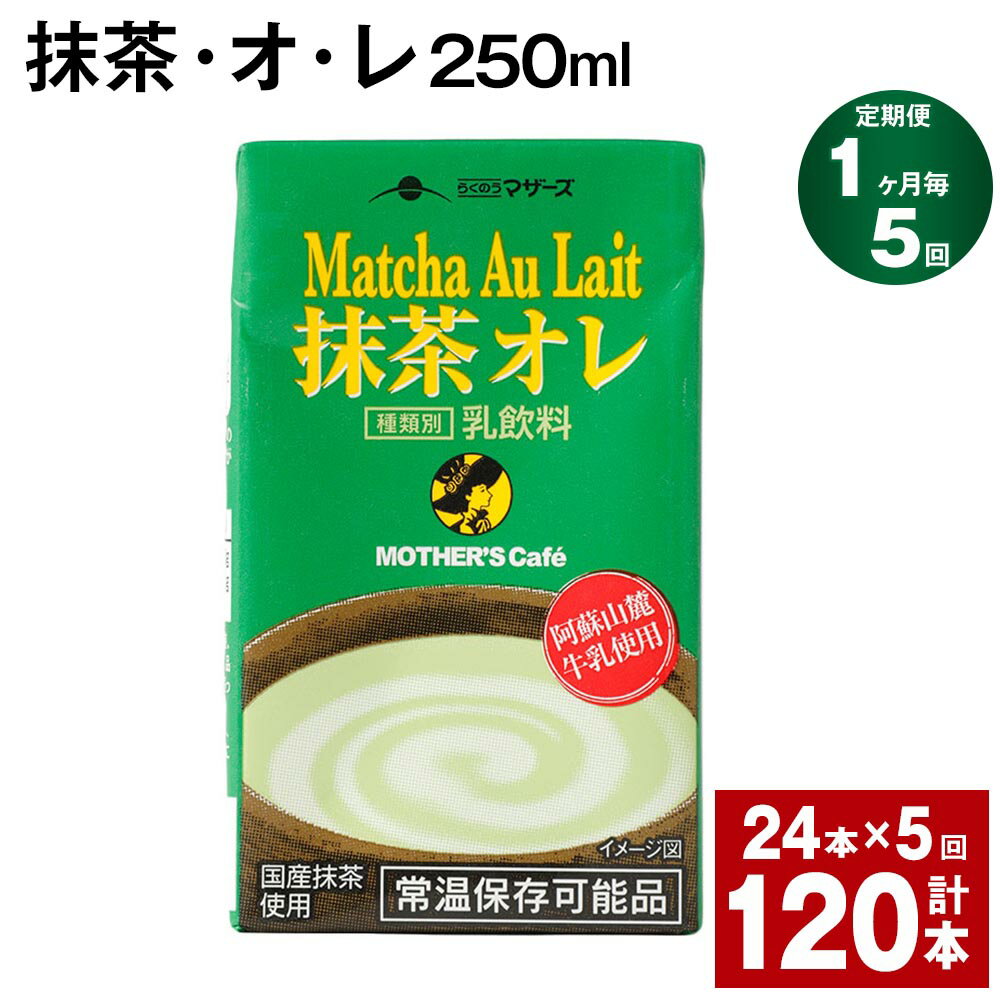 【定期便】【1ヶ月毎5回】抹茶・オ・レ 250ml 計120本 計30L（24本×5回） 抹茶オーレ 抹茶オレ 抹茶ミルク 抹茶 乳製品 乳飲料 クロレラ 緑茶ポリフェノール 飲み物 飲料 常温保存 お取り寄せ 静岡抹茶 朝比奈 熊本県産 菊池市 送料無料