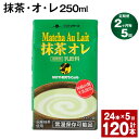 楽天熊本県菊池市【ふるさと納税】【定期便】【2ヶ月毎5回】抹茶・オ・レ 250ml 計120本 計30L（24本×5回）抹茶オーレ 抹茶オレ 抹茶ミルク 抹茶 乳製品 乳飲料 クロレラ 緑茶ポリフェノール 飲み物 飲料 常温保存 お取り寄せ 静岡抹茶 朝比奈 熊本県産 菊池市 送料無料