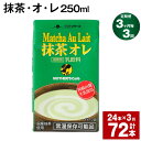 厳選された静岡県朝比奈産の抹茶を使用した抹茶ミルクです。コクのあるたっぷりの熊本県産牛乳に香り高い抹茶を合わせました。抹茶の香り濃厚で、ほろ苦な大人の味わいに仕上がっています。栄養豊かなクロレラ・緑茶ポリフェノール入り。抹茶の風味を楽しめるやさしい甘さです。 商品詳細 商品名 【3ヶ月ごと3回お届け】 抹茶・オ・レ 内容詳細 ■ 抹茶・オ・レ：250ml×24本 　※1回あたりの内容量 ■ 賞味期限：常温保存で90日 ■ 産地：熊本産（菊池市含む） 原材料 牛乳、果糖ぶどう糖液糖、抹茶、クロレラ、乳糖果糖オリゴ糖、脱脂粉乳、セルロース（大豆由来）、乳化剤、香料、酸化防止剤（ビタミンC）、緑茶抽出物 アレルギー表記 乳 保存方法と注意事項 ■保存方法 「常温を超えない温度」 高温・多湿・直射日光を避け、涼しい場所に保管してください。 ■注意事項 開封されなければ、常温で保存いただけます。 保存料等は使用しておりませんので、開封後は冷蔵庫に保管のうえ、お早めにお召し上がりください。 提供者 合同会社たべたせいか 発送サイズ 100サイズ ・ふるさと納税よくある質問はこちら ・寄附申込みのキャンセル、返礼品の変更・返品はできません。あらかじめご了承ください。寄附金の使い道について 「ふるさと納税」寄付金は、下記の事業を推進する資金として活用してまいります。 寄付を希望される皆さまの想いでお選びください。 (1)豊富な資源を生かした産業づくり(産業と経済) (2)みんなで支え合う安心づくり(子育てと健康福祉) (3)自然の恵みを守り安全で魅力あるまちづくり(自然環境と暮らしの基盤) (4)学び合いと地域が育む人づくり(教育と文化) (5)市長一任 受領申請書及びワンストップ特例申請書について ■受領書 入金確認後、注文内容確認画面の【注文者情報】に記載の住所に発送の用意が済み次第、順次お届けさせていただきます。 ■ワンストップ特例申請書 ワンストップ特例申請書は受領証明書と一緒にお送り致します。住民票住所が返礼品の送付先と異なる場合は必ず備考欄に住民票住所をご記入ください。