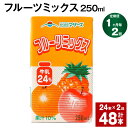 フルーツ入り乳飲料人気ランク7位　口コミ数「0件」評価「0」「【ふるさと納税】【定期便】【1ヶ月毎2回】フルーツミックス 250ml 24本 計48本（24本×2回） ミックスジュース らくのうマザーズ フルーツ牛乳 フルーツ ジュース りんご パイナップル オレンジ みかん 紙パック 熊本県産 国産 九州 熊本県 菊池市 送料無料」