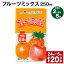 【ふるさと納税】【定期便】【2ヶ月毎5回】フルーツミックス 250ml 24本 計120本（24本×5回） ミックスジュース らくのうマザーズ フルーツ牛乳 フルーツ ジュース りんご パイナップル オレンジ みかん 紙パック 熊本県産 国産 九州 熊本県 菊池市 送料無料