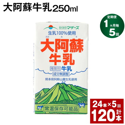 【定期便】【1ヶ月毎5回】大阿蘇牛乳 250ml 24本 計120本（24本×5回） 牛乳 ミルク 成分無調整牛乳 乳飲料 乳性飲料 熊本県産 国産 九州 熊本県 菊池市 送料無料