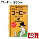 10位! 口コミ数「0件」評価「0」コーヒー 250ml 計48本 コーヒー牛乳 カフェオレ 珈琲 らくのうマザーズ 薫るエスプレッソ ドリンク 紙パック 熊本県産 国産 九州･･･ 