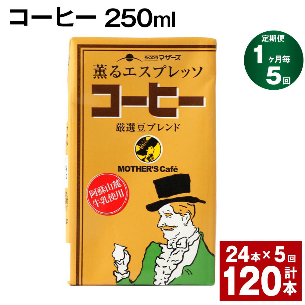 【ふるさと納税】【定期便】【1ヶ月毎5回】コーヒー 250ml 24本 計120本（24本×5回） コーヒー牛乳 カフェオレ 珈琲 らくのうマザーズ 薫るエスプレッソ ドリンク 紙パック 熊本県産 国産 九州 熊本県 菊池市 送料無料