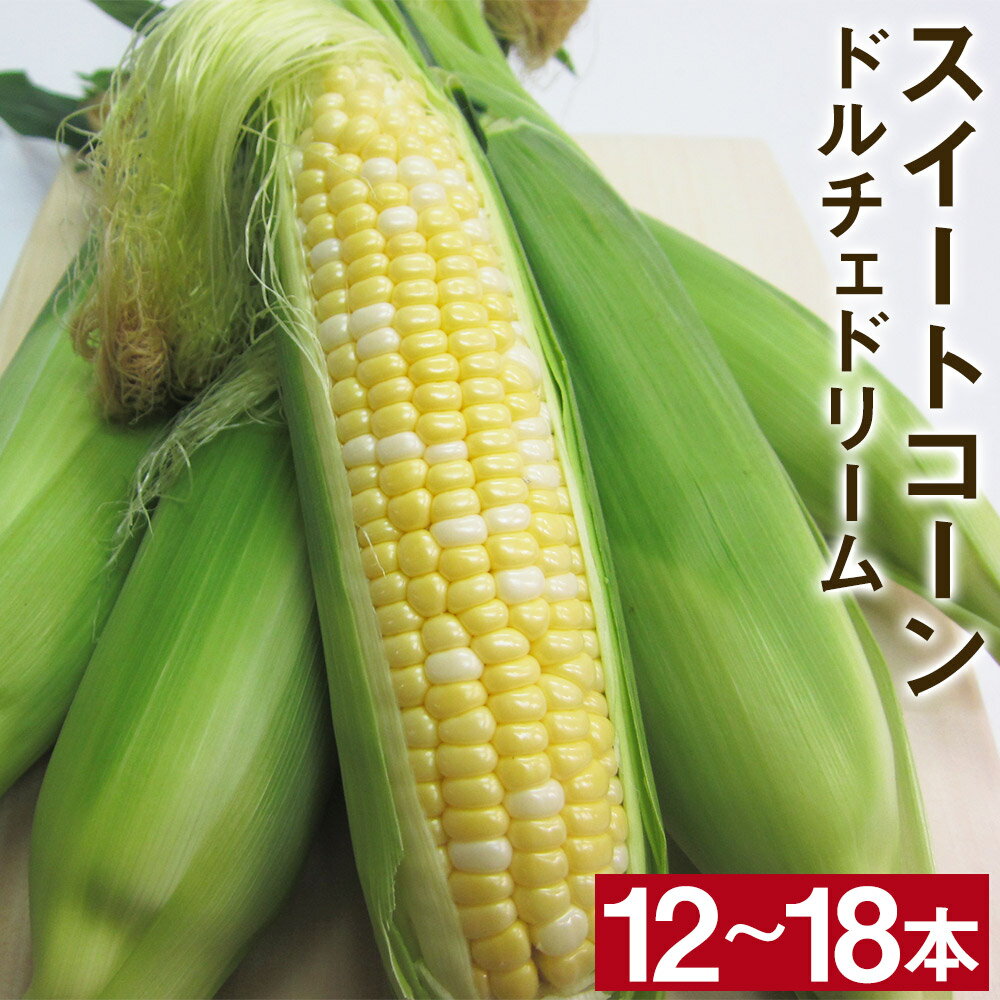 【ふるさと納税】熊本県菊池市産 高糖度スイートコーンセット B 12～18本 ドルチェドリーム スイートコーン とうもろこし 野菜 九州産 国産 熊本県産 冷蔵 送料無料【2024年5月上旬～5月下旬に順次発送予定】