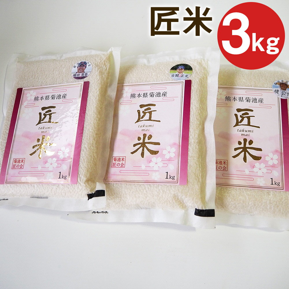 熊本県菊池市産 匠米 合計3kg(1kg×3袋) 真空パック 精米 令和5年産 お米 菊池米匠の会 熊本県産 九州産 送料無料