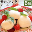 【ふるさと納税】モッツァレラチーズ「ミル爆」6個 合計600g 100g×6個 チーズ モザレラ フレッシュ カプレーゼ おつまみ 前菜 手作り 国産 熊本県産...