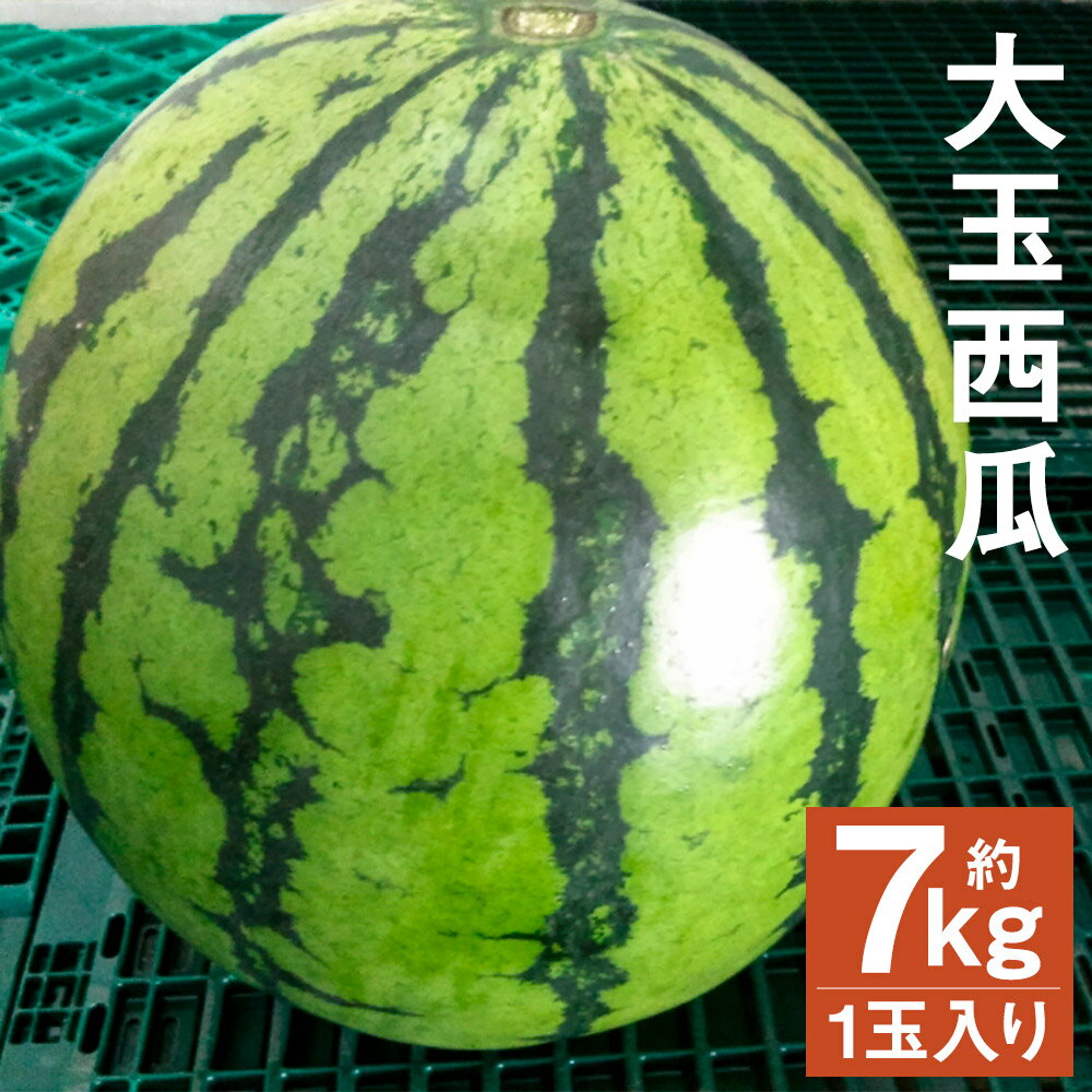 商品詳細 名称 大玉西瓜 産地 菊池市産 内容量 1玉（約7kg以上） ※品種の指定はできません。予めご了承ください。 賞味期限 到着後1週間 保存方法 高温・多湿・直射日光を避け、涼しい場所に保管してください。 提供者 株式会社GGYパッケージ 商品説明 熊本といえばこれ！生産量日本一の西瓜です！紅まくら・だんらんなど旬な品種をお送りします。7kg以上の大玉です。 注意事項 ※天候等の影響で発送期間が前後する場合がございます。 ※長期不在等、寄附者様都合で返礼品のお受け取りができなかった場合、再送は致しかねます。長期不在等の予定がある際は、お申込み時の備考欄にて必ずお知らせください。 ※画像はイメージです。 ・ふるさと納税よくある質問はこちら ・寄附申込みのキャンセル、返礼品の変更・返品はできません。あらかじめご了承ください。寄附金の使い道について 「ふるさと納税」寄付金は、下記の事業を推進する資金として活用してまいります。 寄付を希望される皆さまの想いでお選びください。 (1)豊富な資源を生かした産業づくり（産業と経済） (2)みんなで支え合う安心づくり（子育てと健康福祉） (3)自然の恵みを守り安全で魅力あるまちづくり（自然環境と暮らしの基盤） (4)学び合いと地域が育む人づくり（教育と文化） (5)市長一任 受領申請書及びワンストップ特例申請書について ■受領書 入金確認後、注文内容確認画面の【注文者情報】に記載の住所に発送の用意が済み次第、順次お届けさせていただきます。 ■ワンストップ特例申請書 ワンストップ特例申請書は受領証明書と一緒にお送り致します。住民票住所が返礼品の送付先と異なる場合は必ず備考欄に住民票住所をご記入ください。