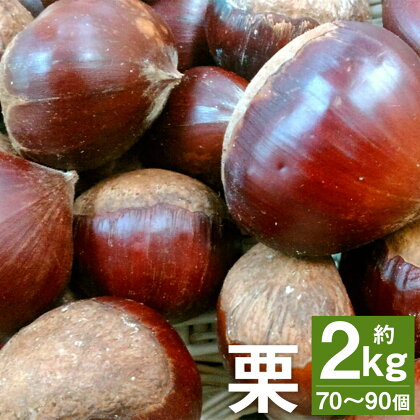 栗 約2kg 70～90個 2L～Mサイズ くり 菊池市産 熊本県産 九州産 冷蔵 送料無料【2024年9月上旬～10月上旬に順次発送予定】