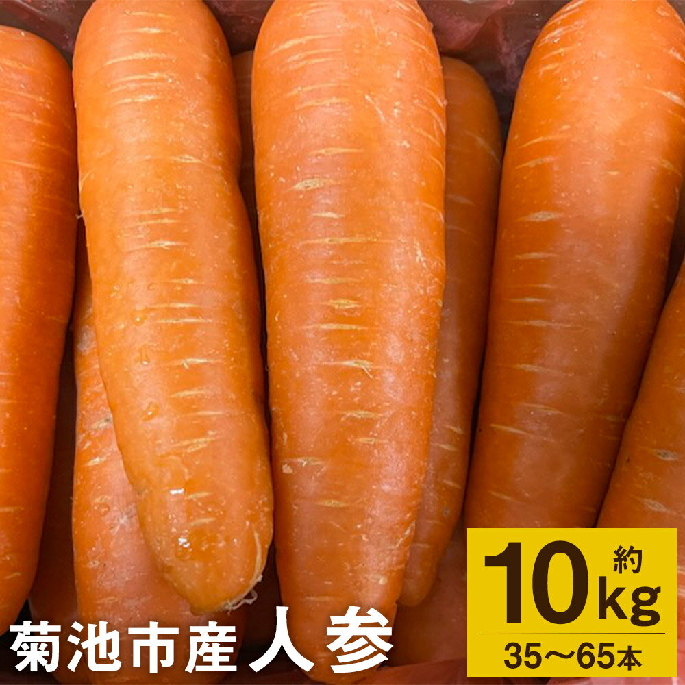 26位! 口コミ数「0件」評価「0」人参 約10kg 35～65本 にんじん 野菜 菊池市産 熊本県産 九州産 送料無料【2024年4月上旬～6月上旬に順次発送予定】