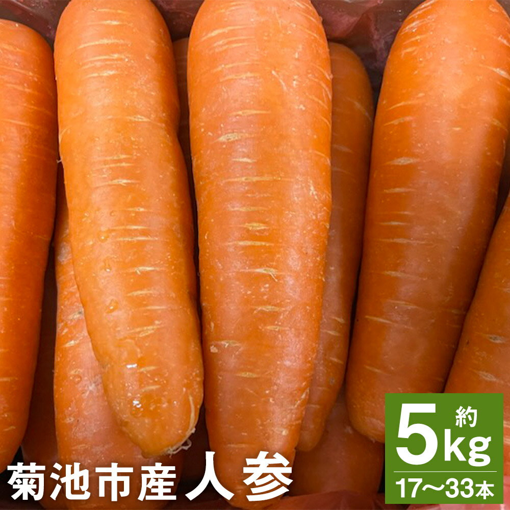 【ふるさと納税】人参 約5kg 17～33本 にんじん 野菜 菊池市産 熊本県産 九州産 送料無料【2024年4月...