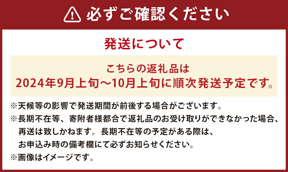 【ふるさと納税】栗 約2kg 70～90個 2L～Mサイズ くり 菊池市産 熊本県産 九州産 冷蔵 送料無料【2024年9月上旬～10月上旬に順次発送予定】