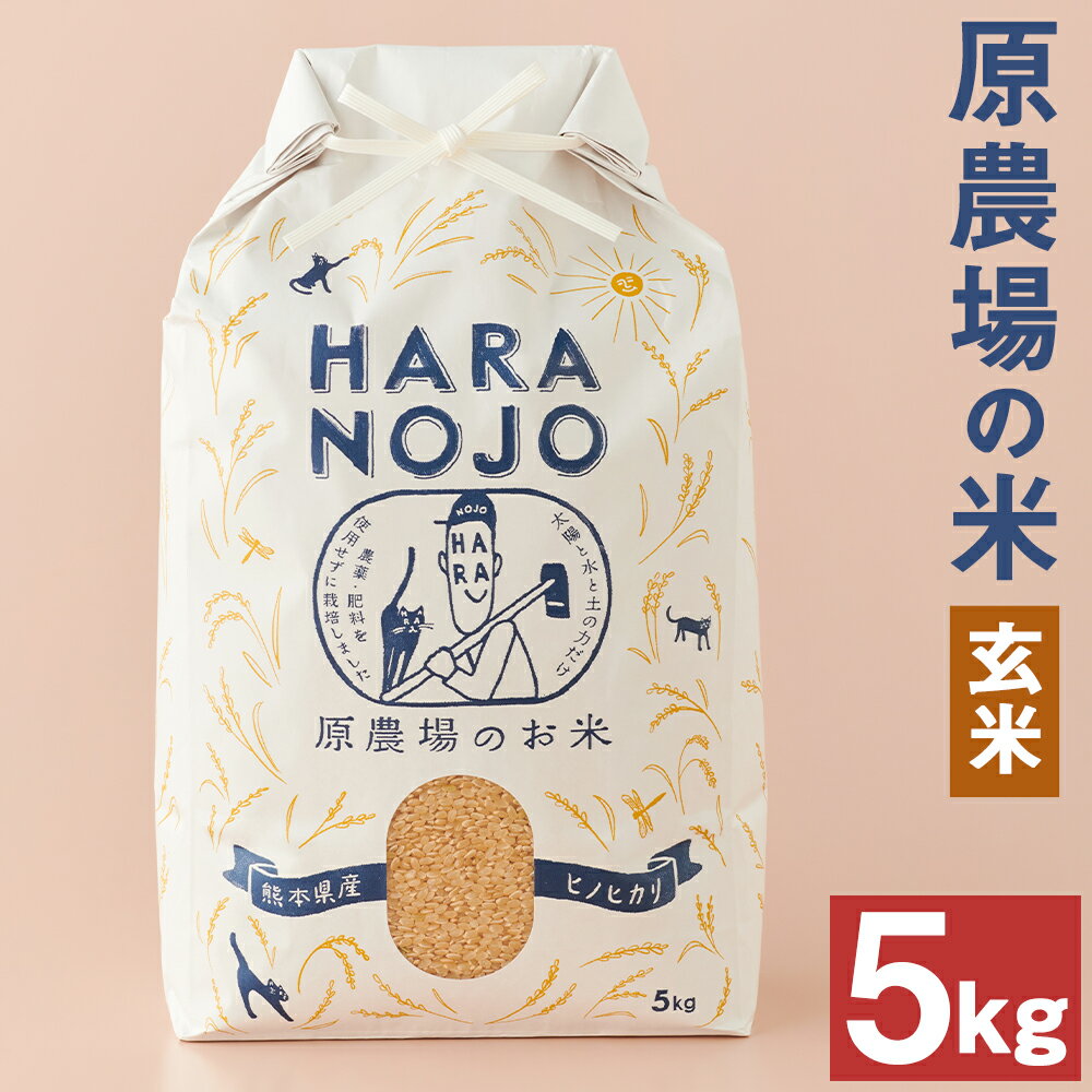 【ふるさと納税】原農場の米 玄米 5kg ヒノヒカリ 令和5年産 お米 農薬・化学肥料不使用 熊本県産 九州産 送料無料